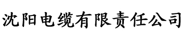 亚洲制服一区二区三区懂色电缆厂logo